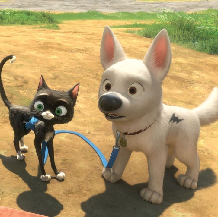 two animated dogs standing next to each other on a dirt ground with grass in the background