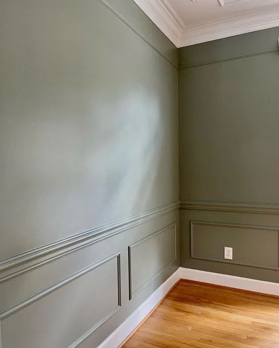 an empty room with wood floors and green walls, painted in shades of light gray