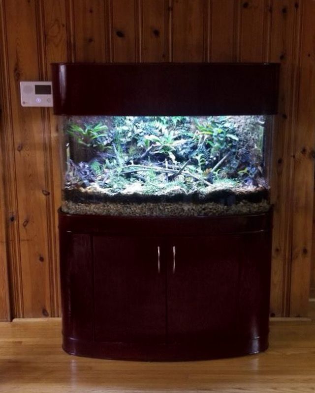 a fish tank sitting on top of a wooden cabinet next to a wall with wood paneling