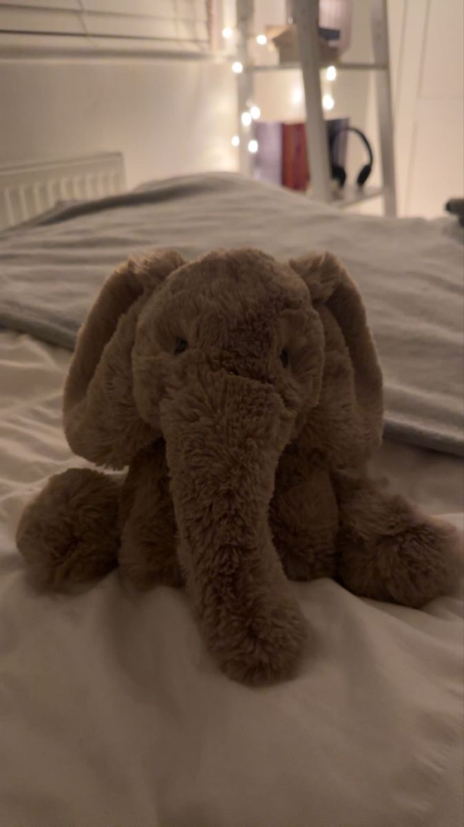 ellie Cute Stuff Animals Aesthetic, Jelly Cat Elephant, Jellycat Sea Creatures, Jelly Cat Teddy, Cute Jelly Cats, Jelly Cats Stuffed Animals, Jelly Cats Aesthetic, Jellycat Elephant, Aesthetic Stuffed Animals