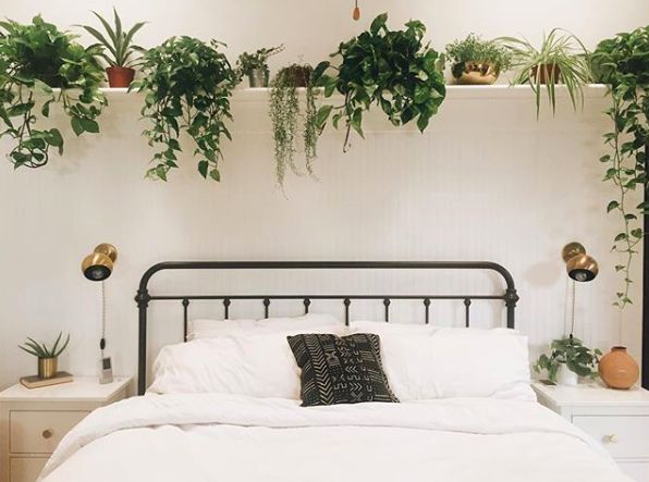 a white bed topped with lots of plants next to a wall mounted planter filled with potted plants