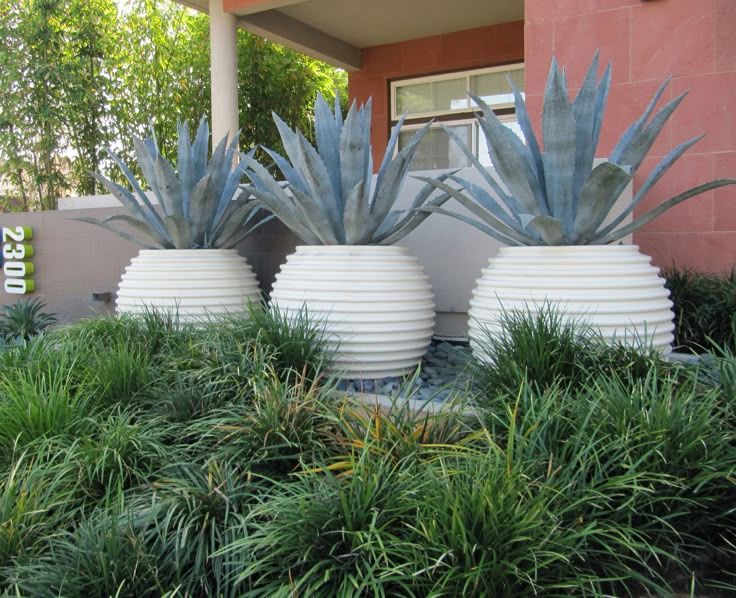 two white vases with plants in front of a building