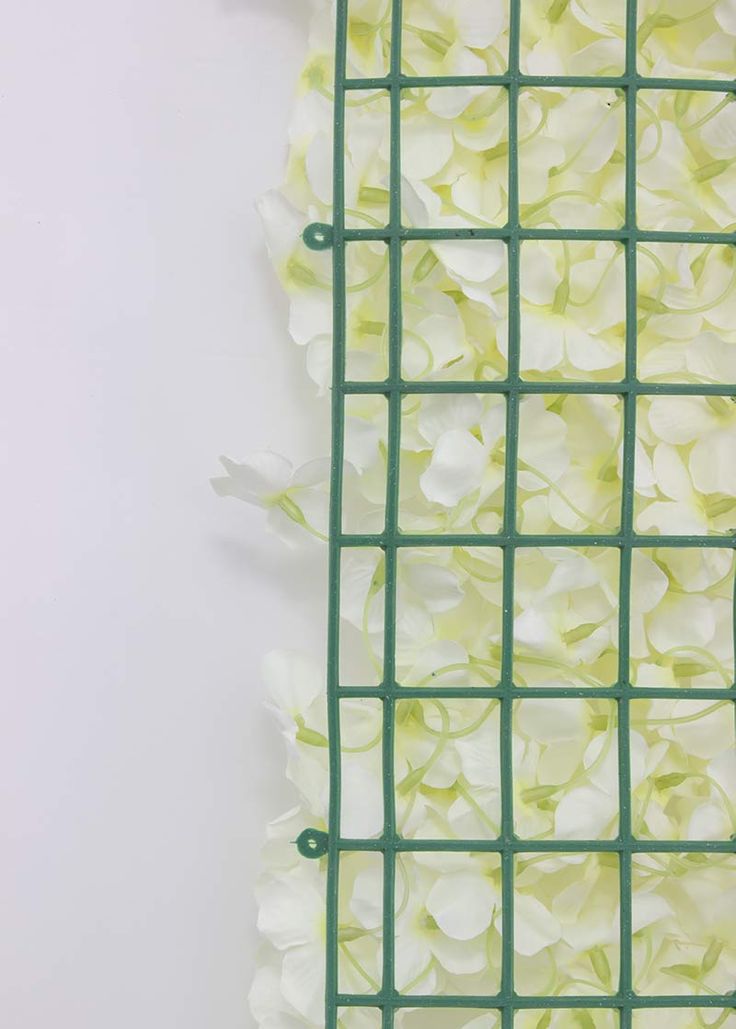 white flowers are growing on the side of a green wire mesh fence that is attached to a wall