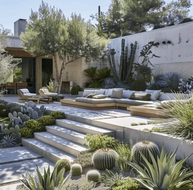 an outdoor living area with cactus and succulents in the foreground, surrounded by concrete steps