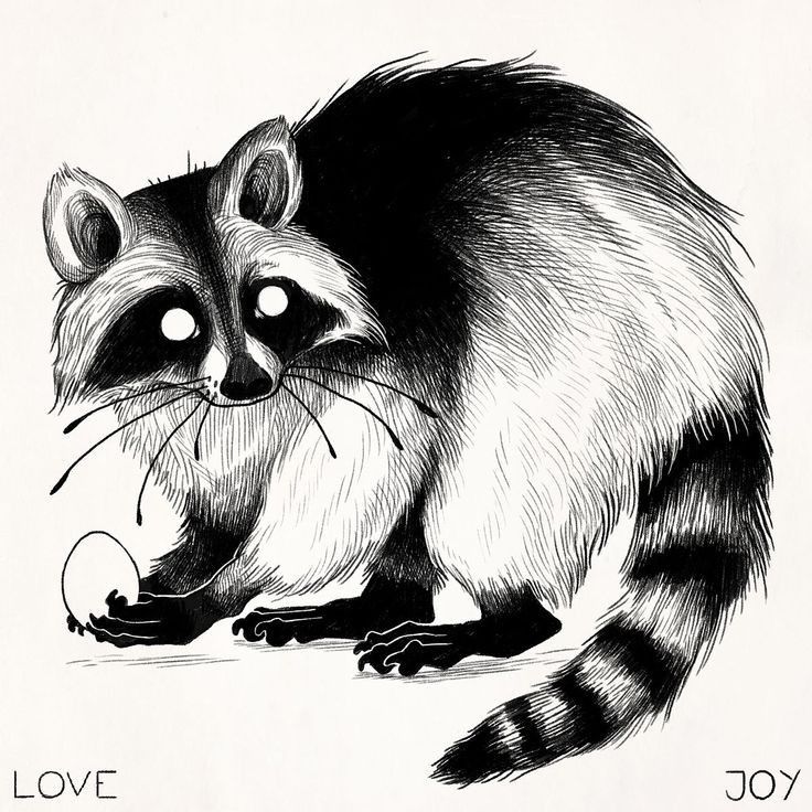 a black and white drawing of a raccoon with the word love written on it