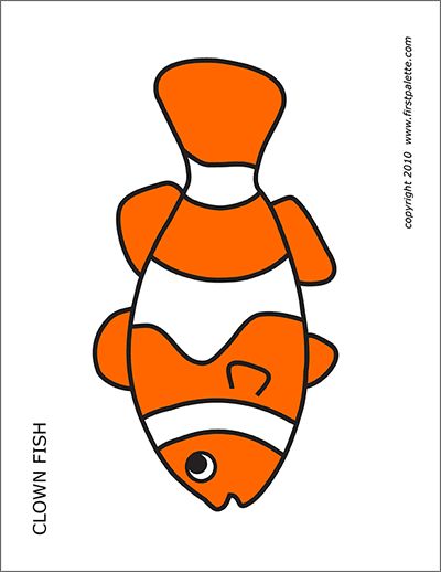 an orange fish with white stripes on it's chest and head, sitting in front of