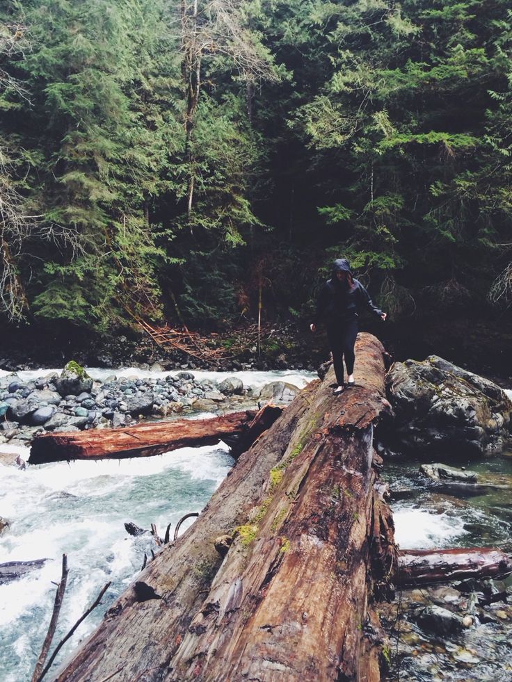 a person standing on a log in the middle of a river next to a forest