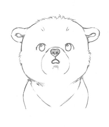 a drawing of a bear's face