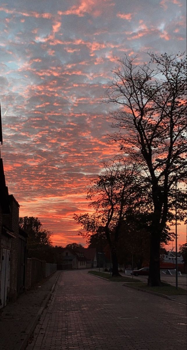 the sky is pink and orange as the sun goes down in the distance behind some trees