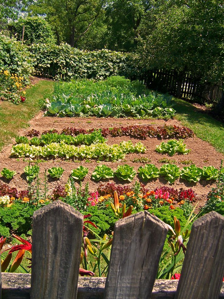 a garden with many different types of flowers and plants in the center, surrounded by wooden fence posts