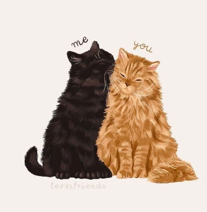 two cats sitting next to each other with the words me and you written on them