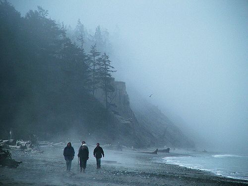 three people are walking on the beach in the fog