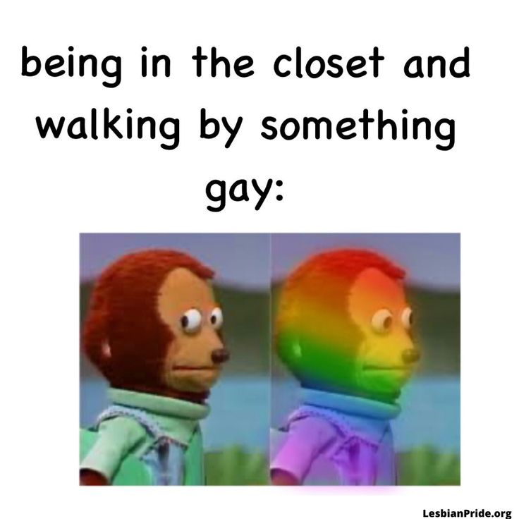 two cartoon characters with the caption being in the closet and walking by something gay