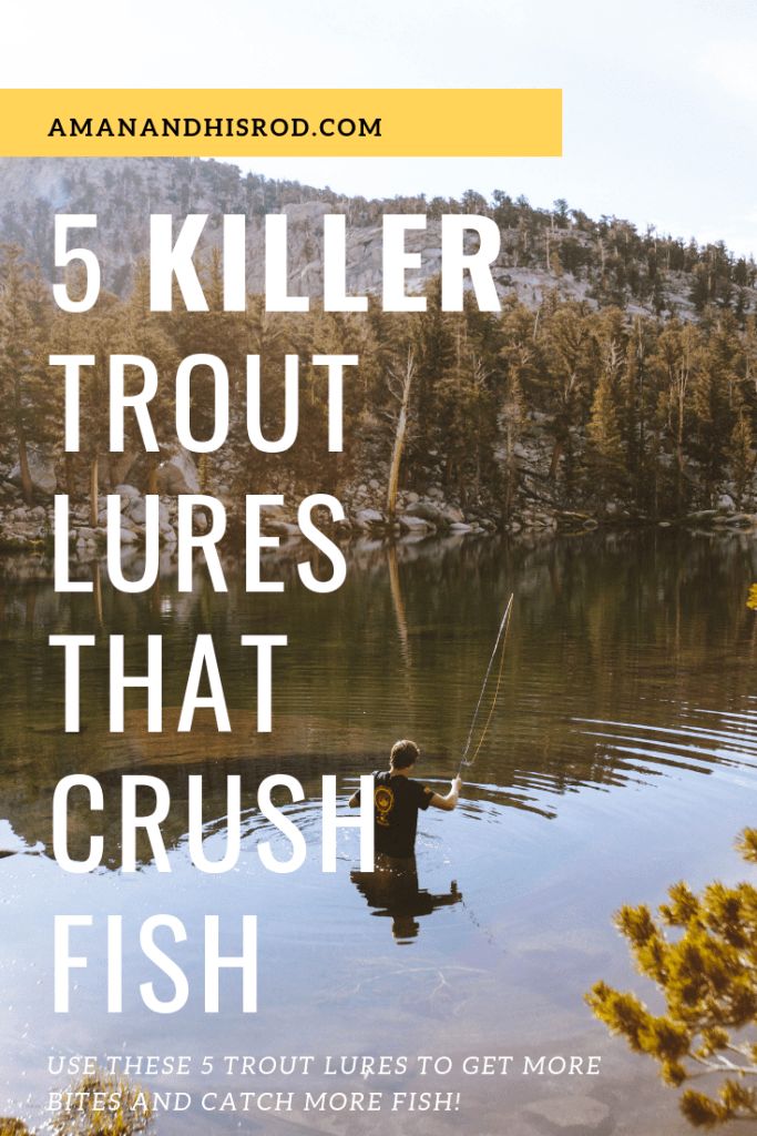 a man fishing in the water with text that reads, 5 killer trout lures that crush fish