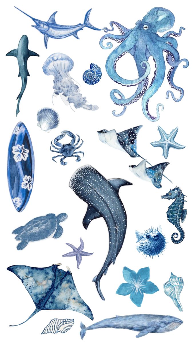 an ocean scene with various sea animals and fish on white background, watercolor painting