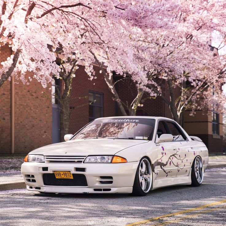 a white car parked on the side of a road next to trees with pink flowers