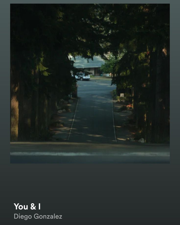 an empty street with trees on both sides and the words you & i above it