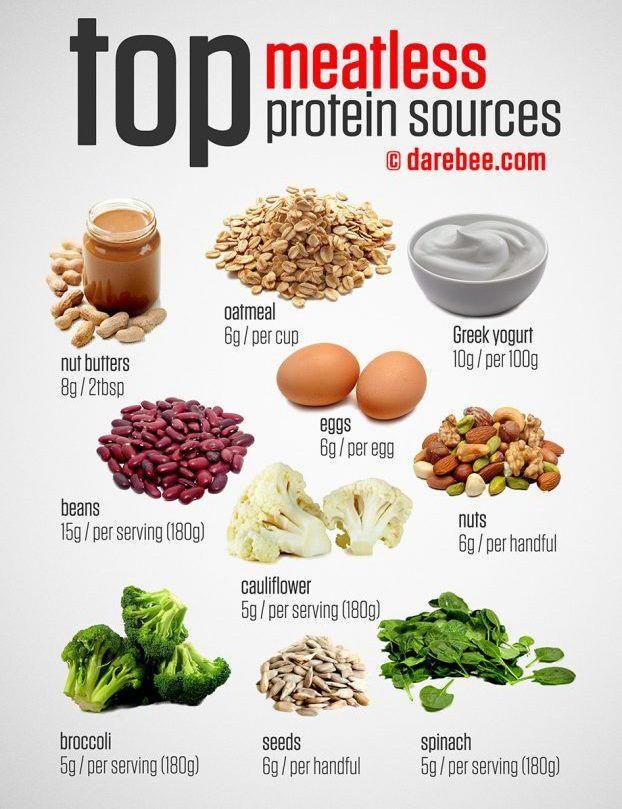 the top 10 foods that are high in proteins