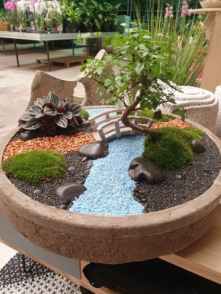 a potted plant sitting on top of a table filled with rocks and gravel next to a small pond