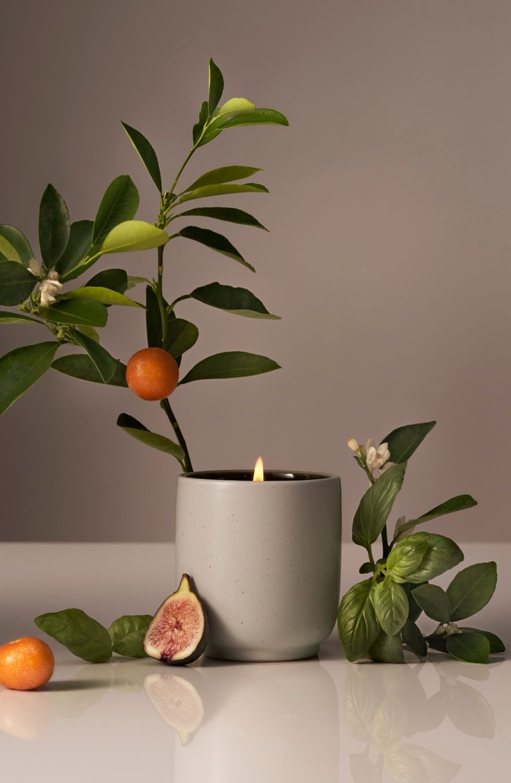 a plant in a pot next to some fruit