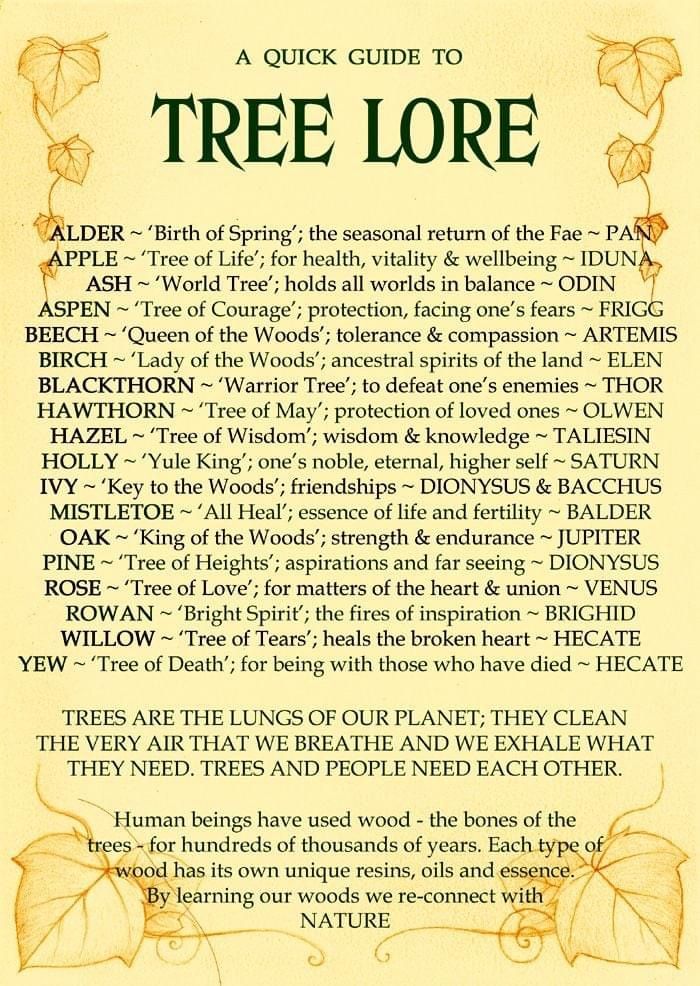 the tree lore is written in an old book