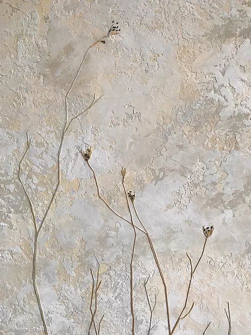 some plants are growing on the side of a concrete wall with peeling paint and no leaves