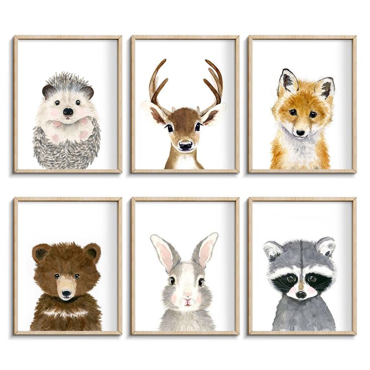 four framed pictures of animals in different colors