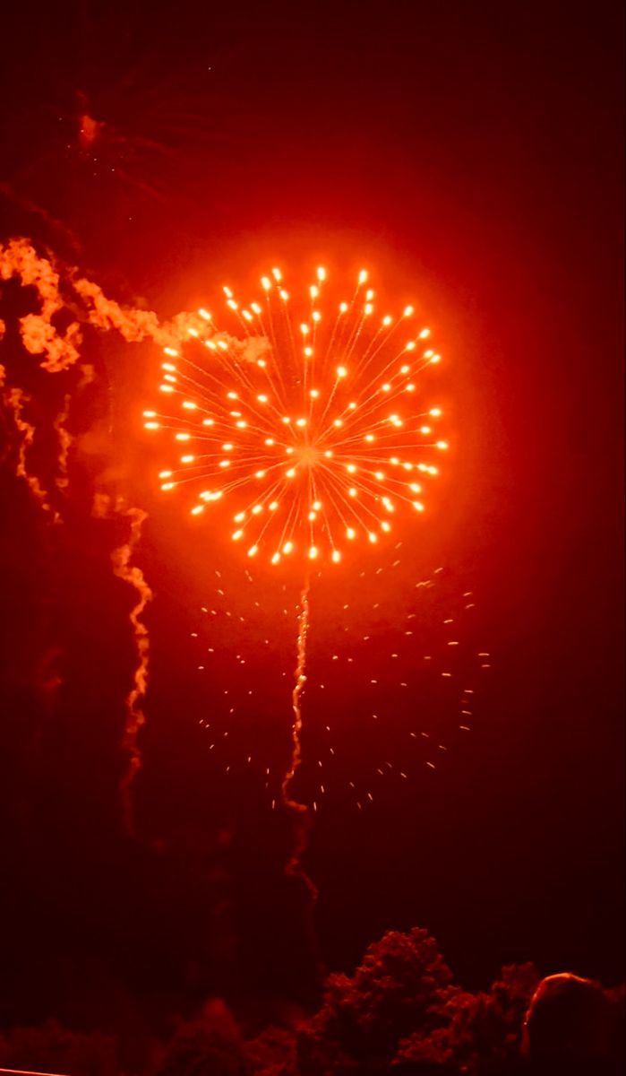 fireworks are lit up in the night sky