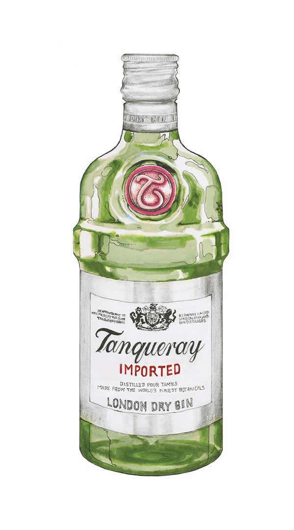 an empty bottle of gin on a white background with the word's imprint in it