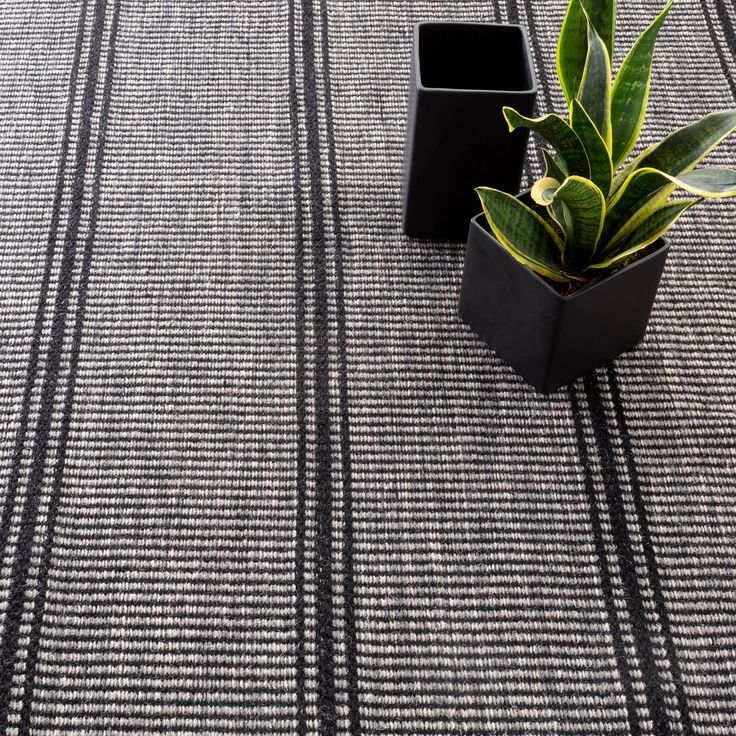 a potted plant sitting on top of a carpet next to two black vases