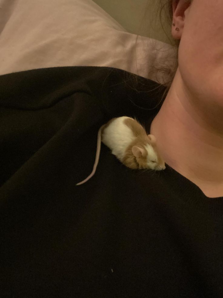 a woman laying in bed with a mouse on her chest