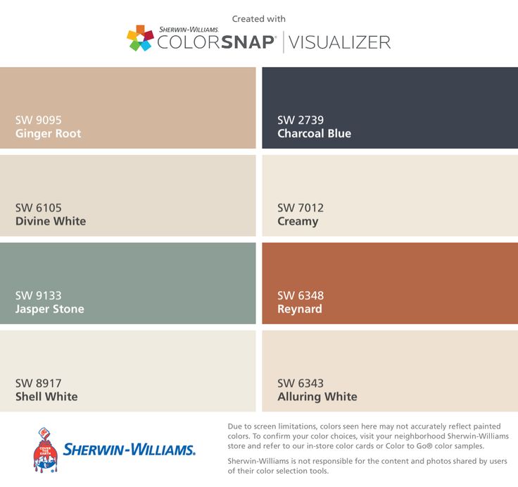 the color scheme for colorsnap visualizer is shown in blue, white and beige