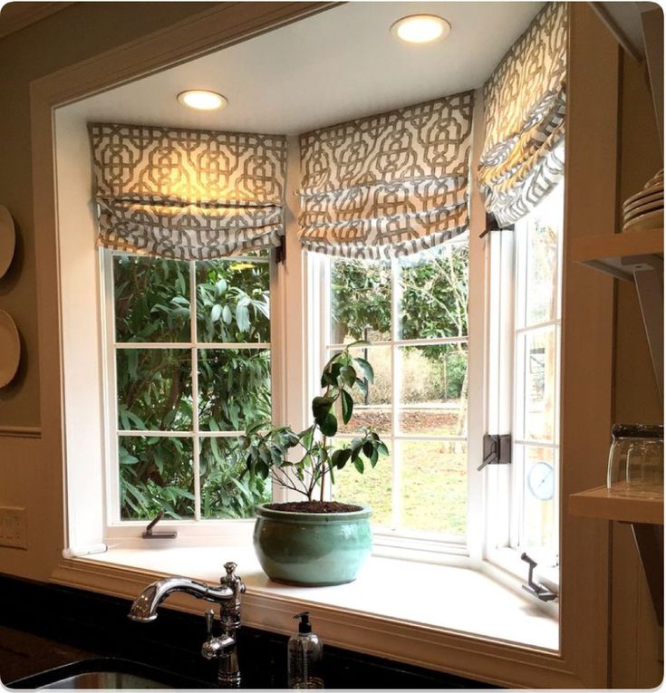 a potted plant sitting on top of a window sill next to a sink