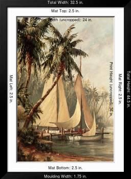 two sailboats in the water near palm trees