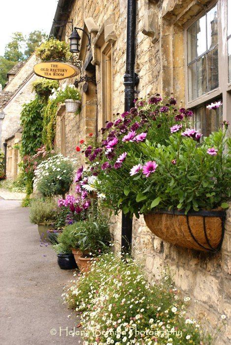 flowers are growing in baskets on the side of an old stone building, along with potted plants