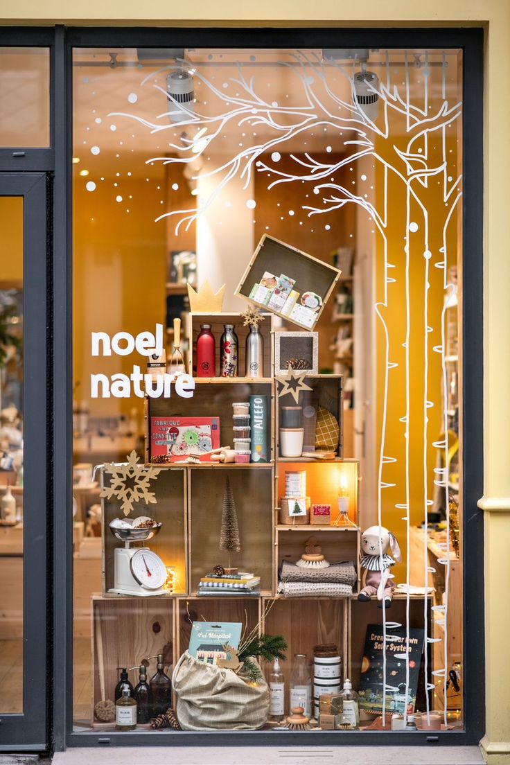 a store front window with the words noel nature on it's display case and various items