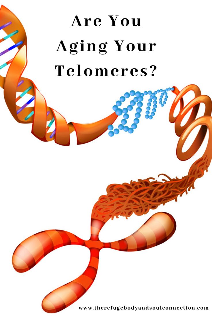 Telomere shortening can have a direct effect on how your skin ages ...