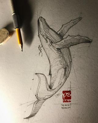 a pencil drawing of a whale on top of a piece of paper next to a pen