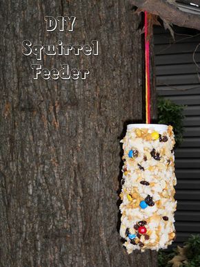 a paper bag hanging from a tree with the words diy squirrel feeder on it