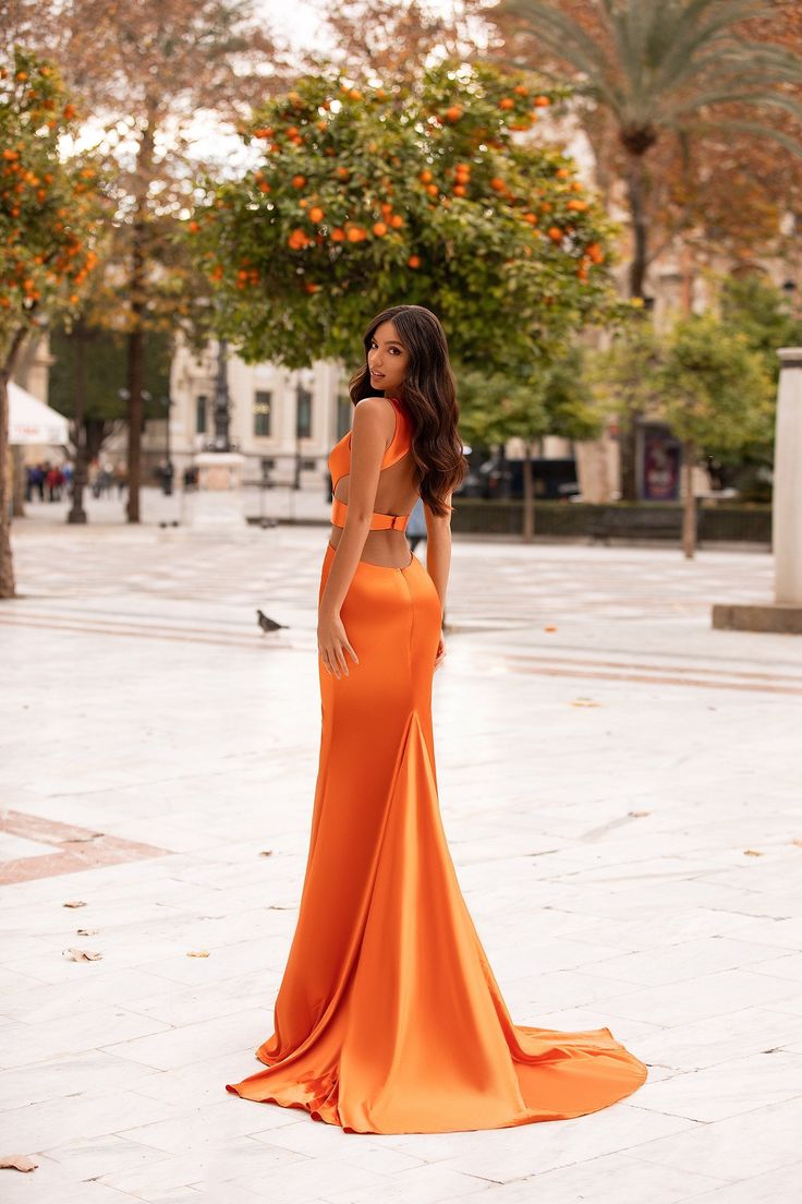 Alondra  - Orange Satin Mermaid Gown with Plunge Neck & Cut Out Details Orange Formal Dresses, Alamour The Label, Orange Satin, Sequin Gown, Plunge Neckline, Satin Gown, Vibrant Orange, Orange Dress, Prom Gown