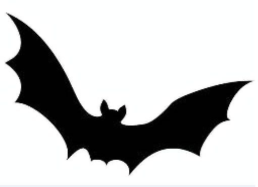 the silhouette of a bat on a white background