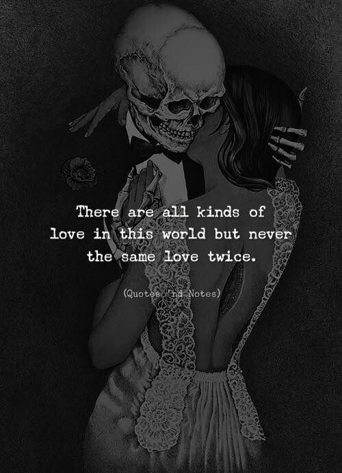 a skeleton hugging a woman with the caption, there are all kinds of love in this world but never the same love twice