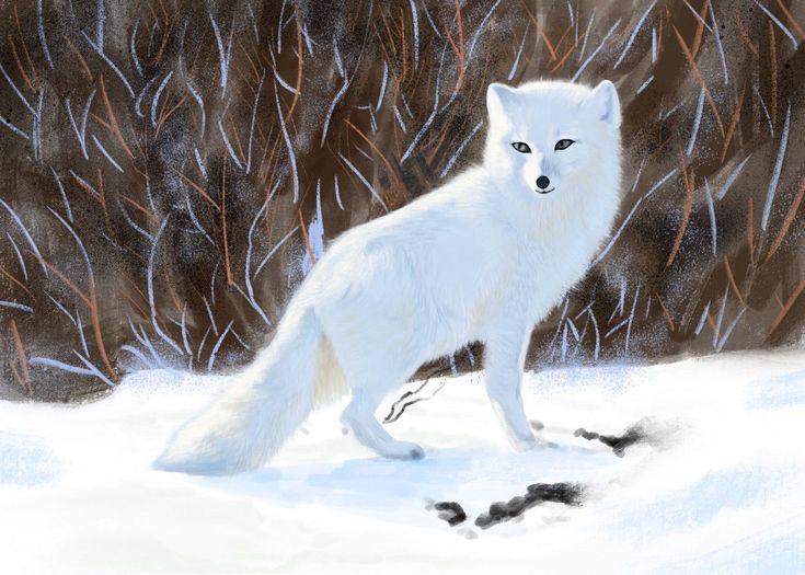 a painting of a white fox standing in the snow with trees in the back ground