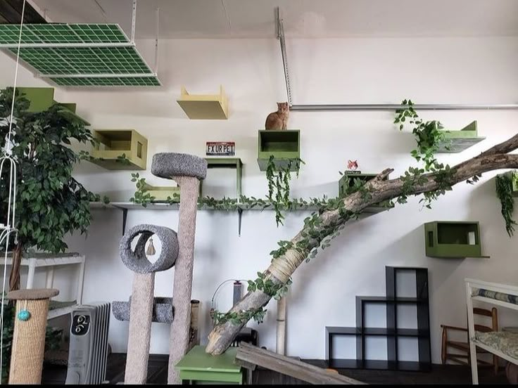 a room filled with lots of different types of furniture and plants hanging from the ceiling