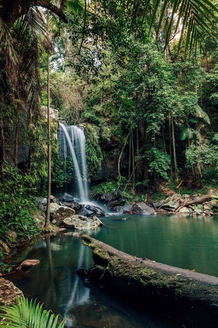 a small waterfall in the middle of a forest