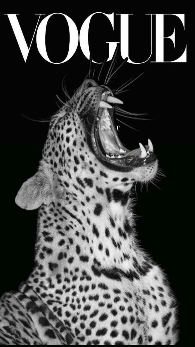 the front cover of a magazine with an image of a leopard's mouth open