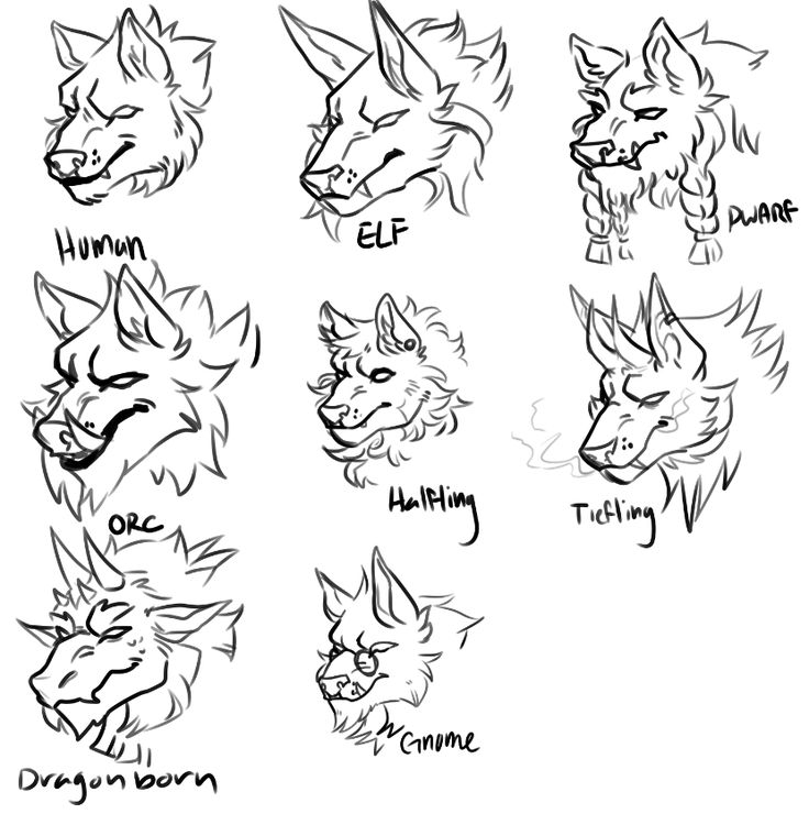 the different types of wolf heads