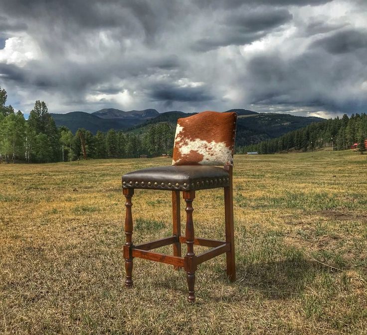 a cow hide sits on top of a chair in the middle of an open field