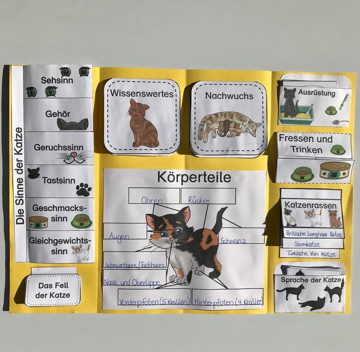 a bulletin board with pictures of cats and dogs on it's sides, in german