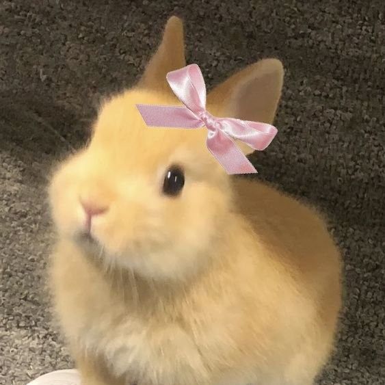 a small rabbit with a pink bow on its head